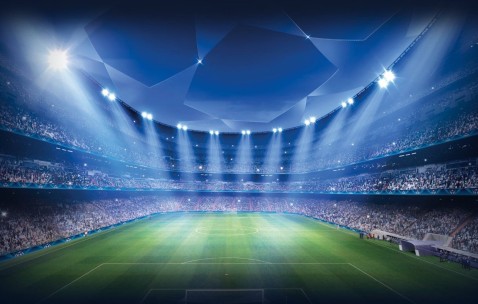新手入门指南：Bsport手机版